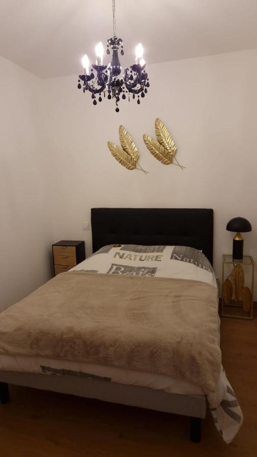 Appartement Cosy Centre Ville Roanne Eksteriør billede