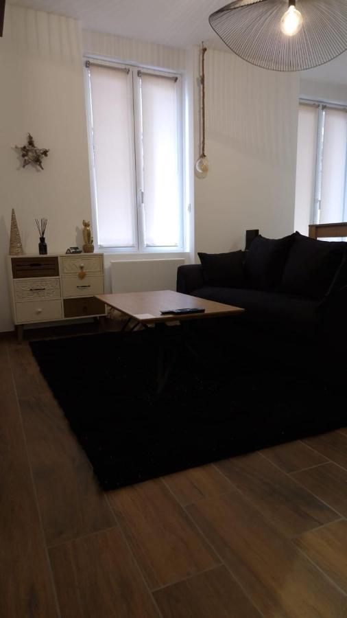 Appartement Cosy Centre Ville Roanne Eksteriør billede