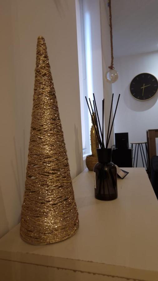 Appartement Cosy Centre Ville Roanne Eksteriør billede