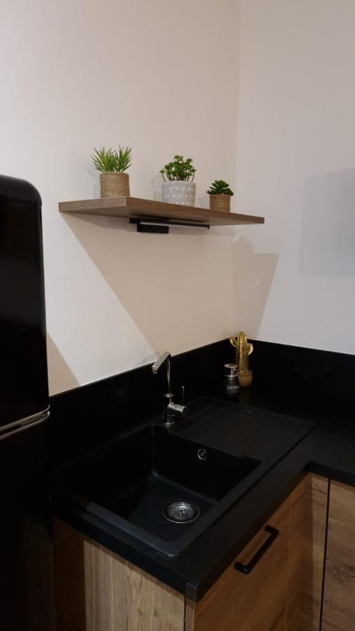 Appartement Cosy Centre Ville Roanne Eksteriør billede