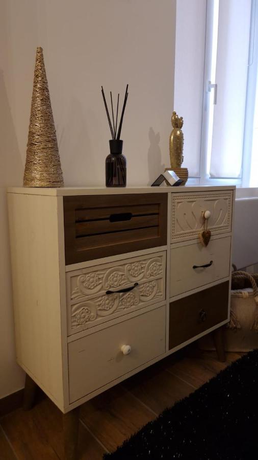 Appartement Cosy Centre Ville Roanne Eksteriør billede